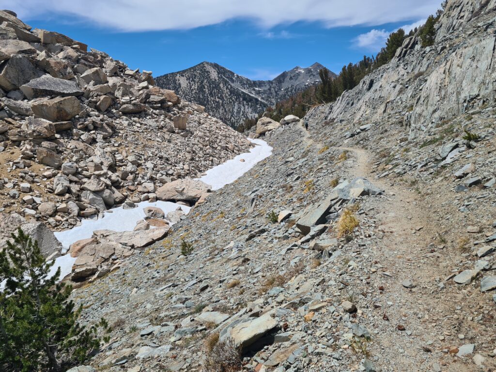 PCT Tag 54