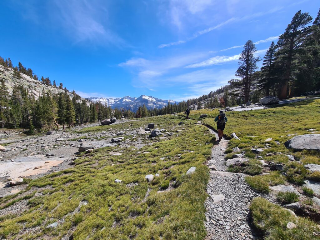 PCT Tag 54