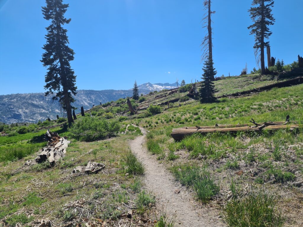 PCT Tag 55