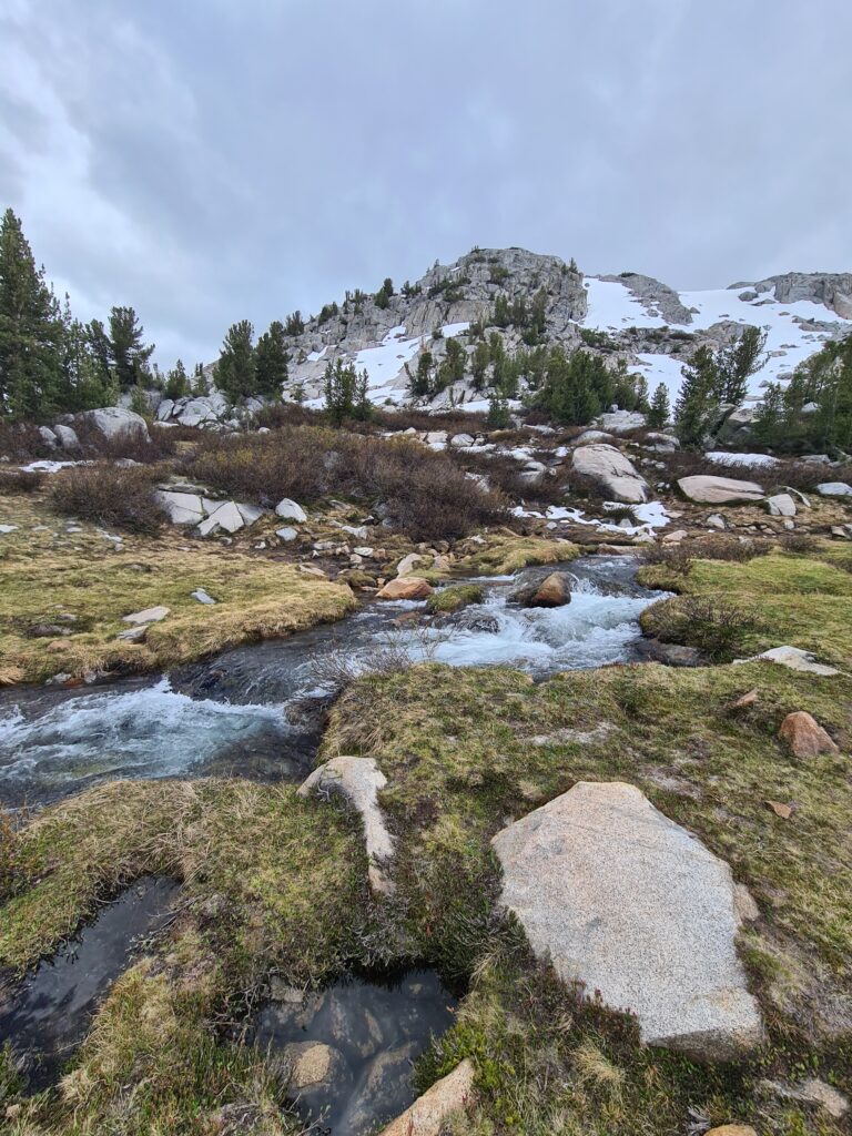 PCT Tag 57