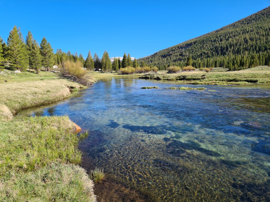 PCT Tag 58