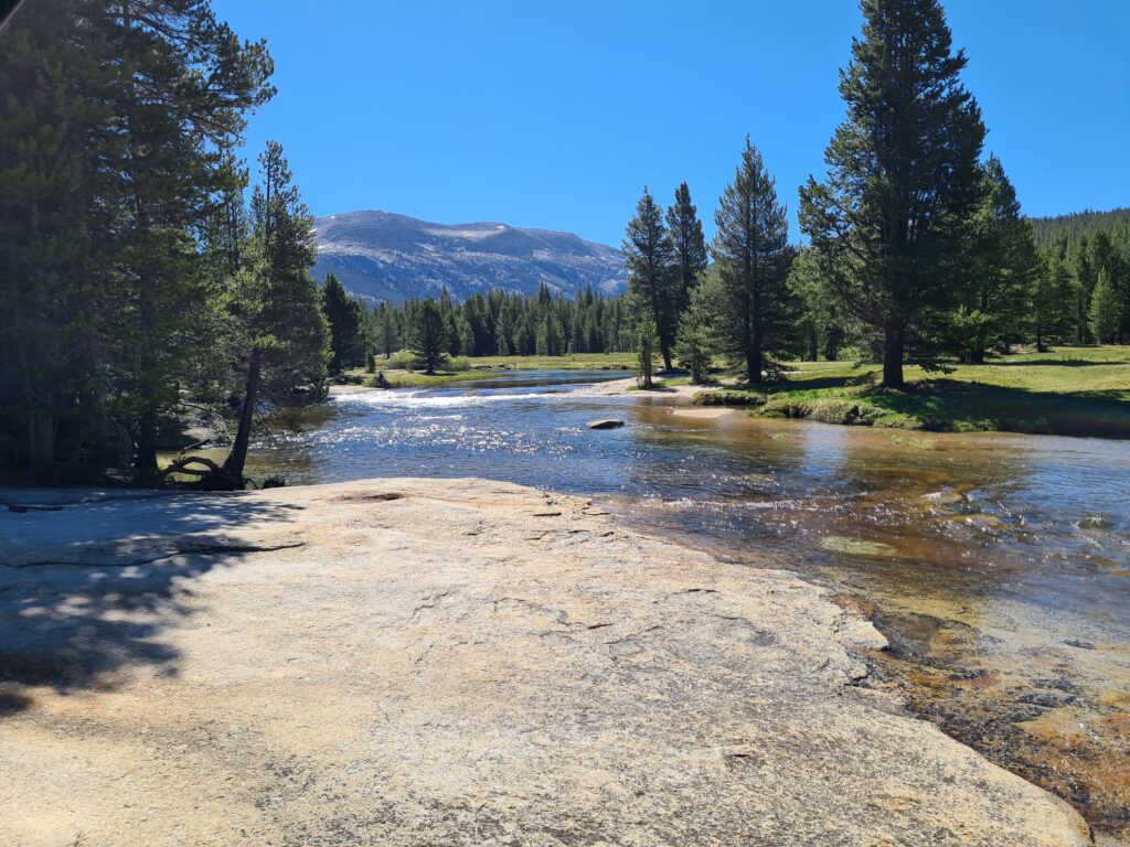 PCT Tag 58