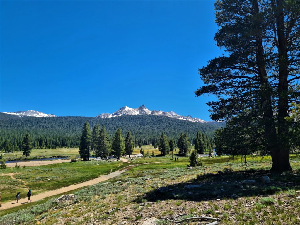 PCT Tag 59
