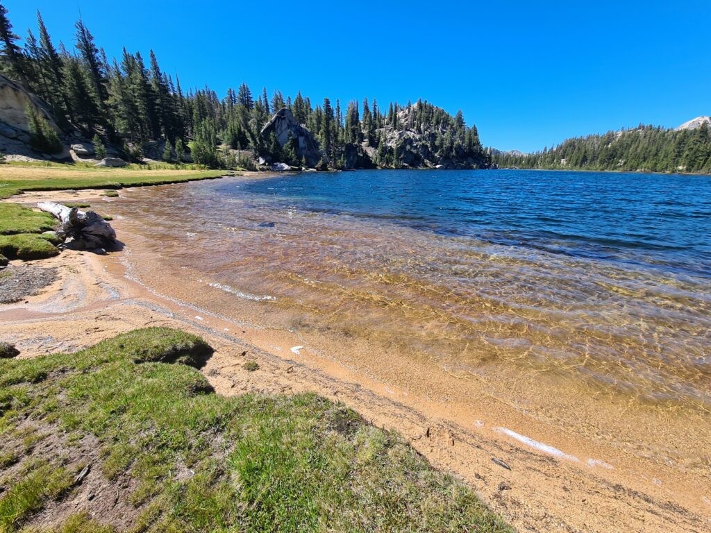 PCT Tag 60