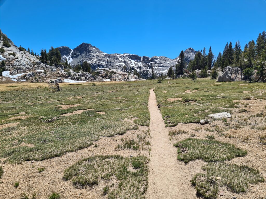 PCT Tag 60