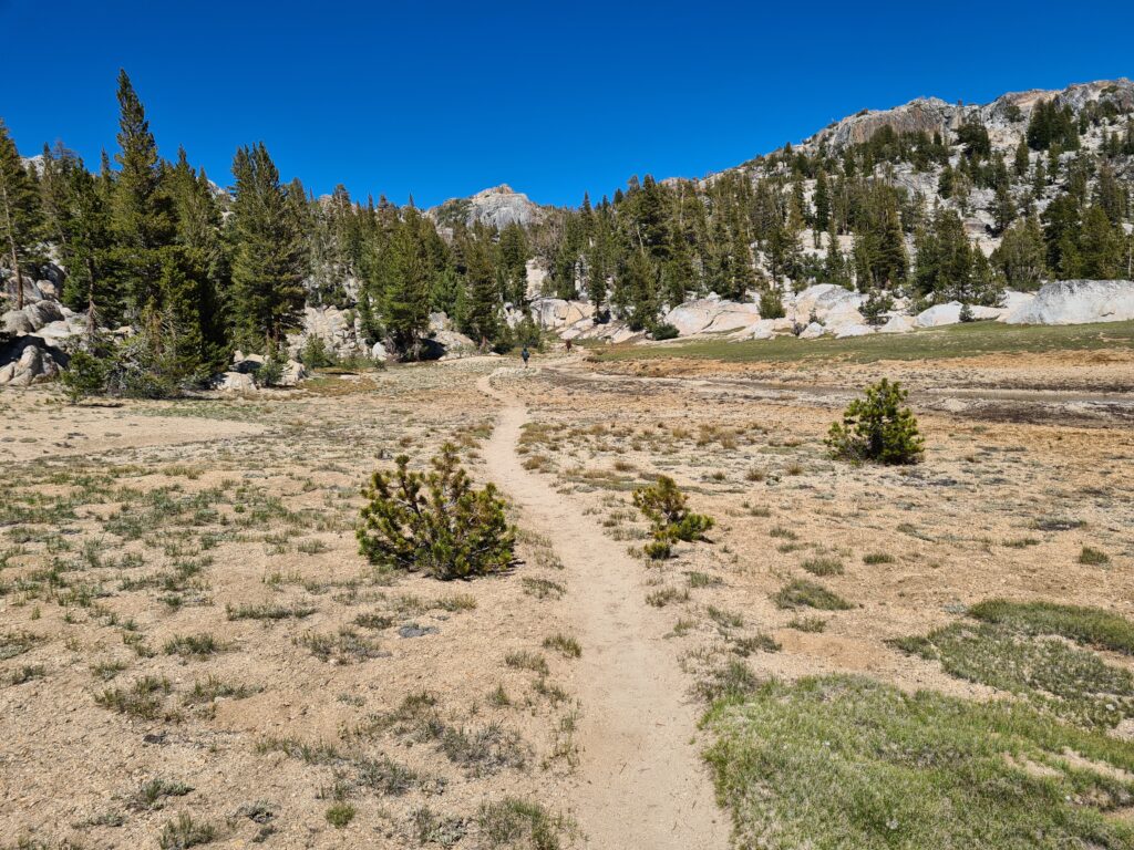 PCT Tag 60