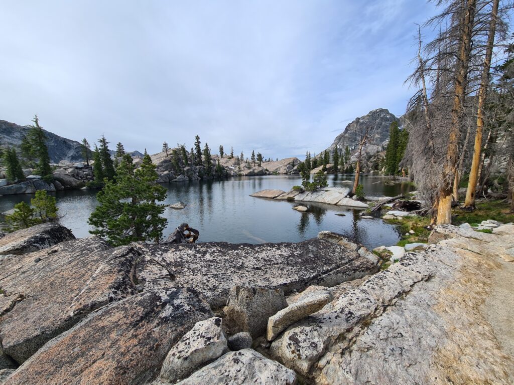 PCT Tag 61