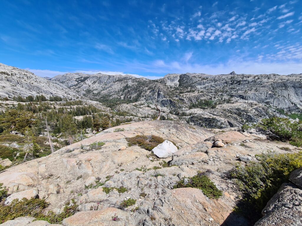 PCT Tag 61