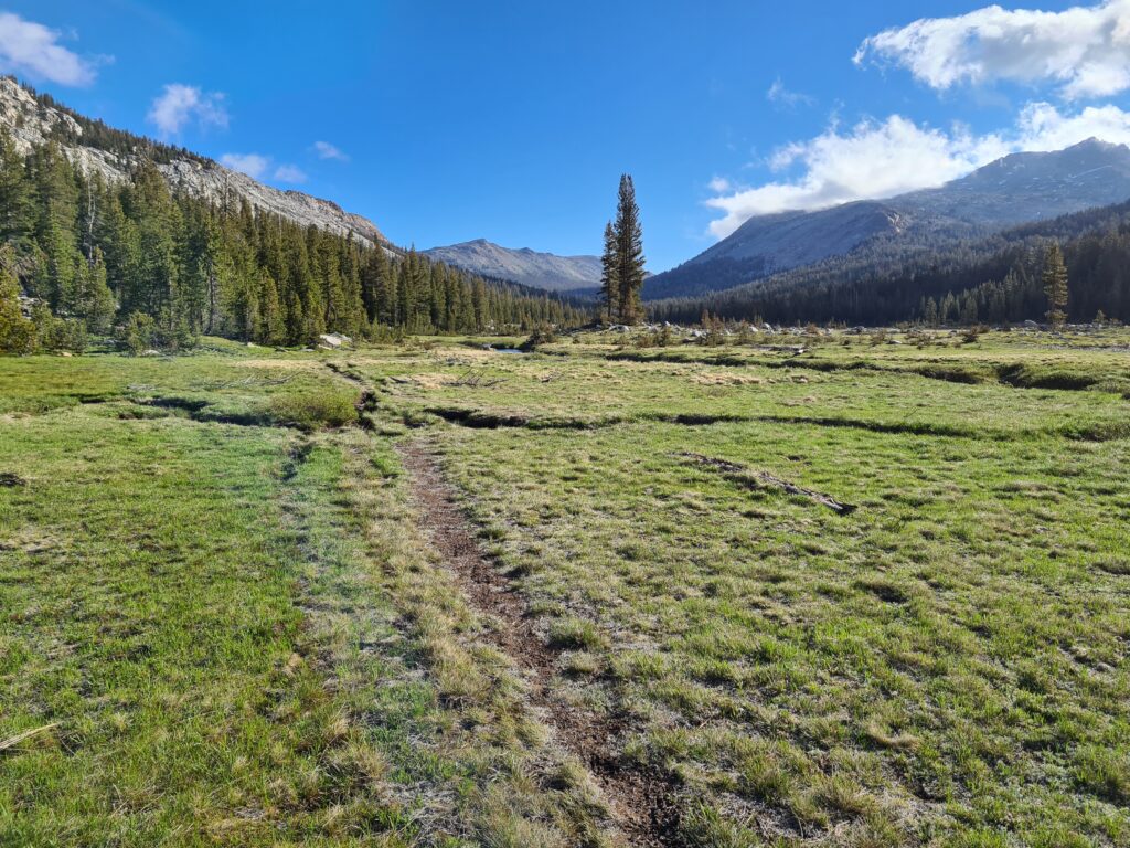 PCT Tag 62