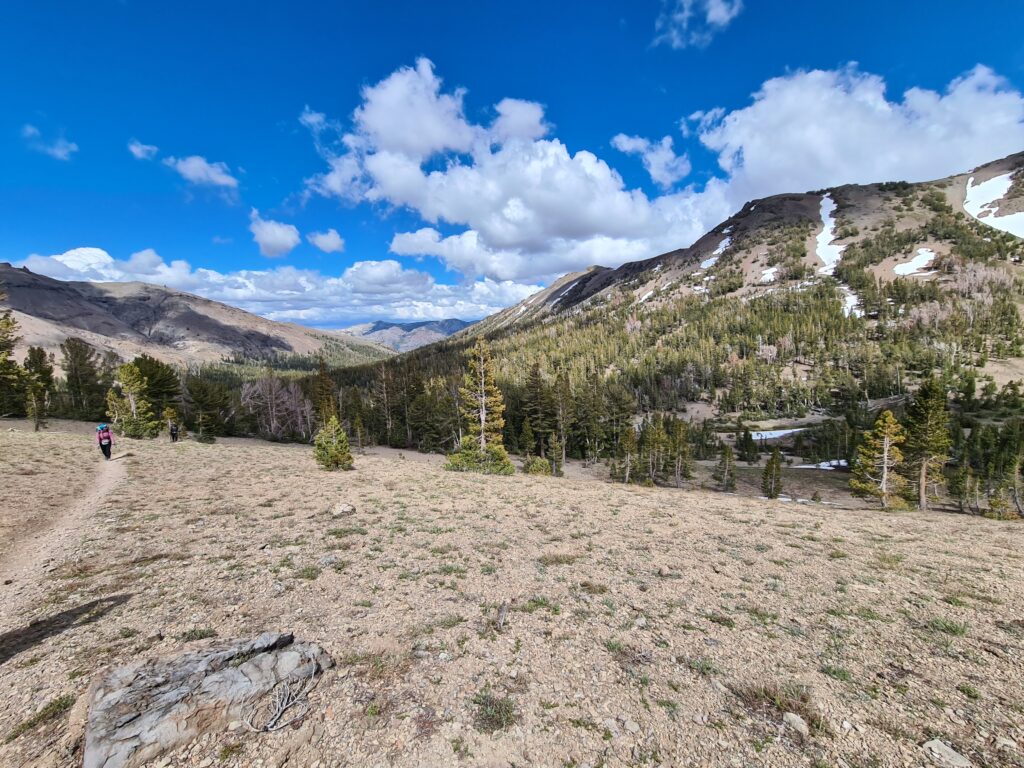 PCT Tag 62