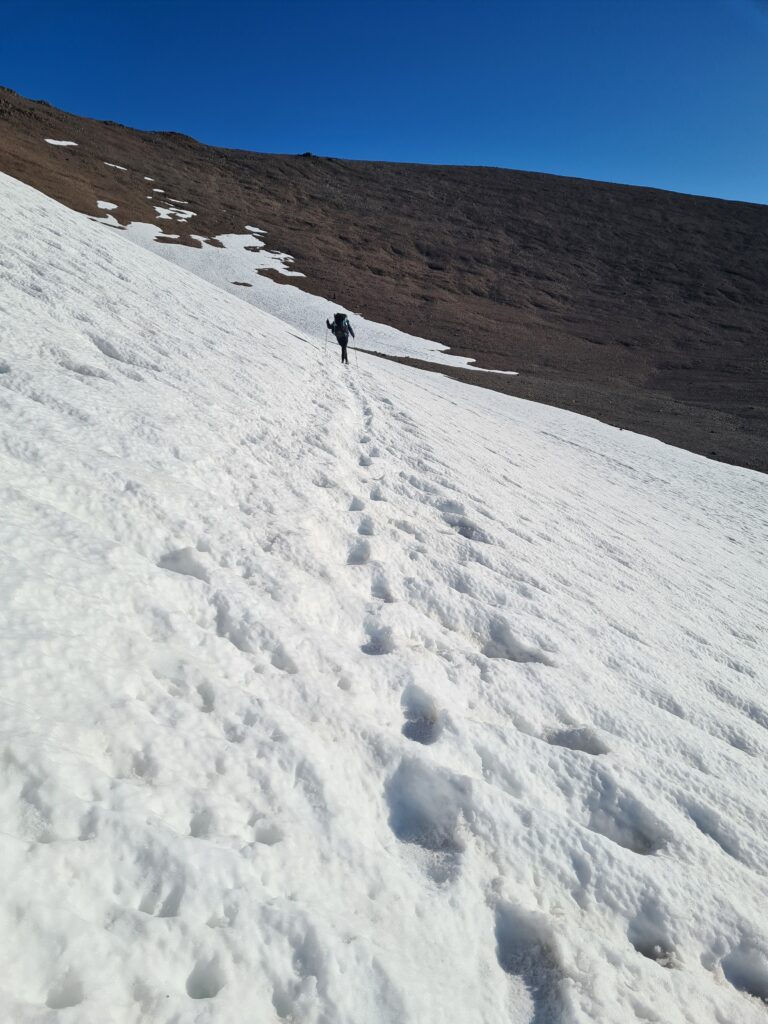 Auf dem Weg zum Sonora Pass