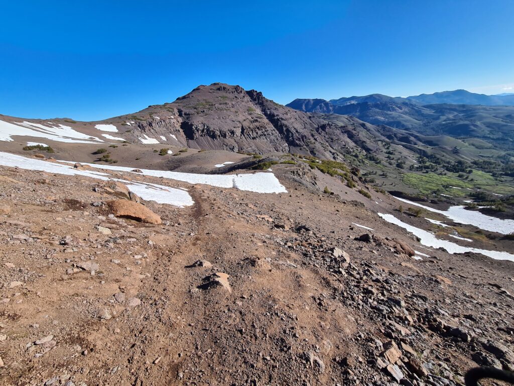 Auf dem Weg zum Sonora Pass