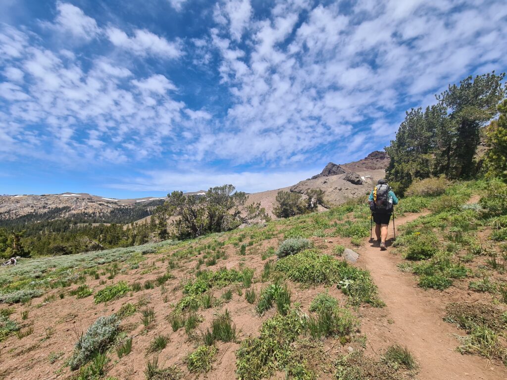 PCT Tag 64