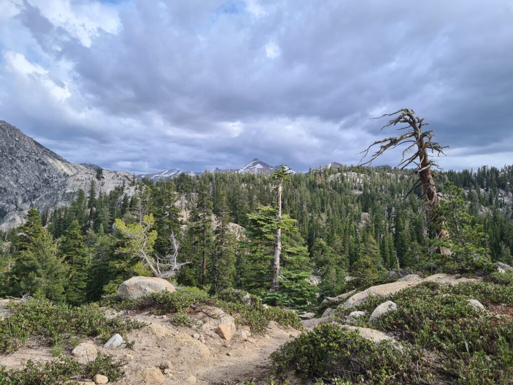 PCT Tag 64