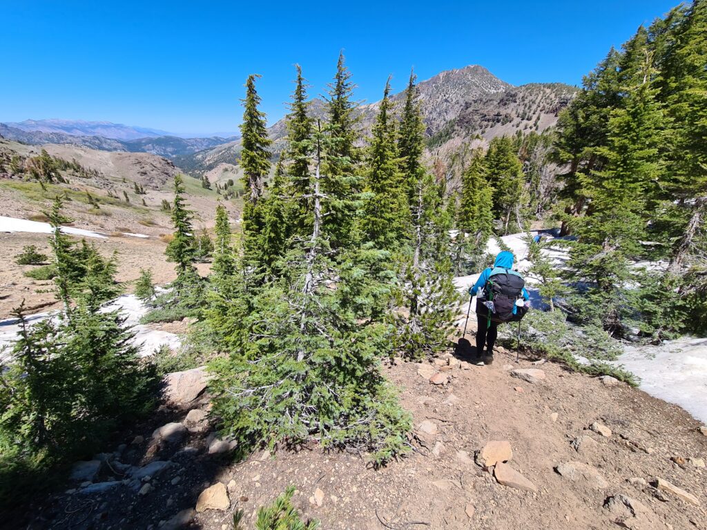 PCT Tag 65