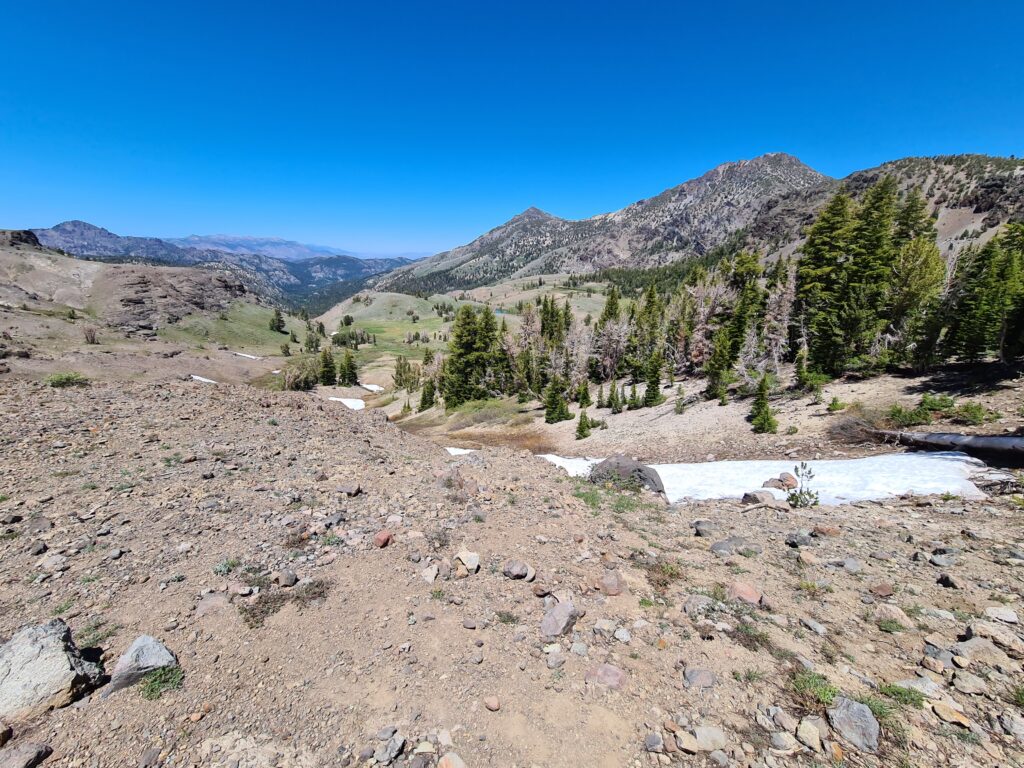 PCT Tag 65