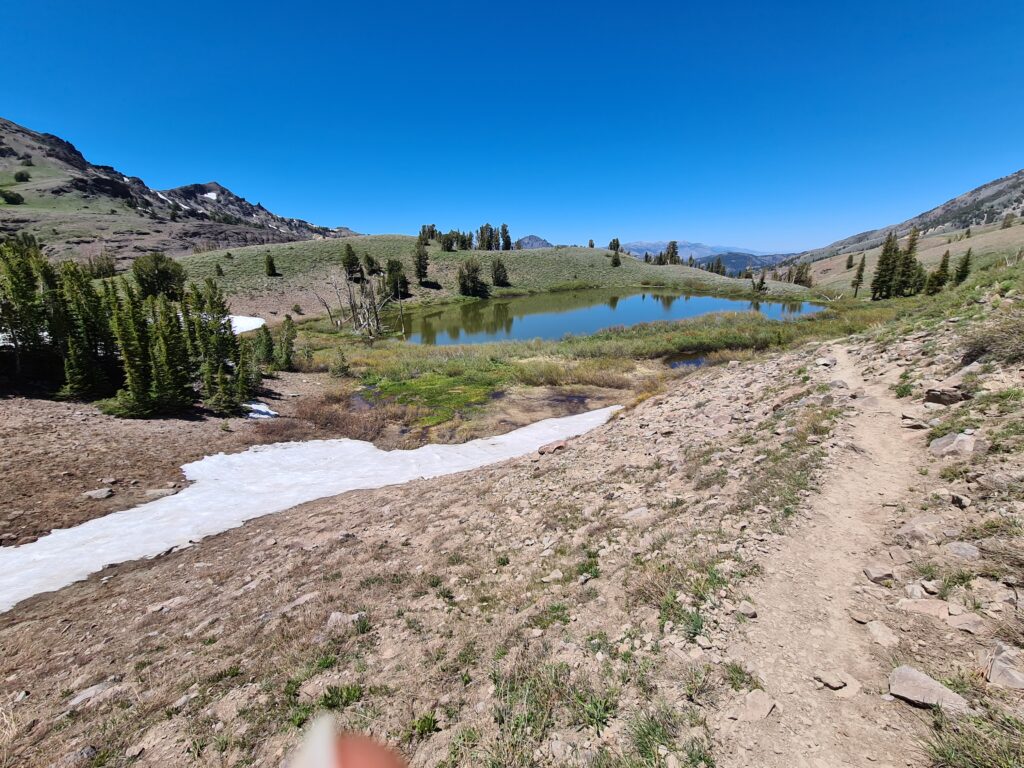 PCT Tag 65