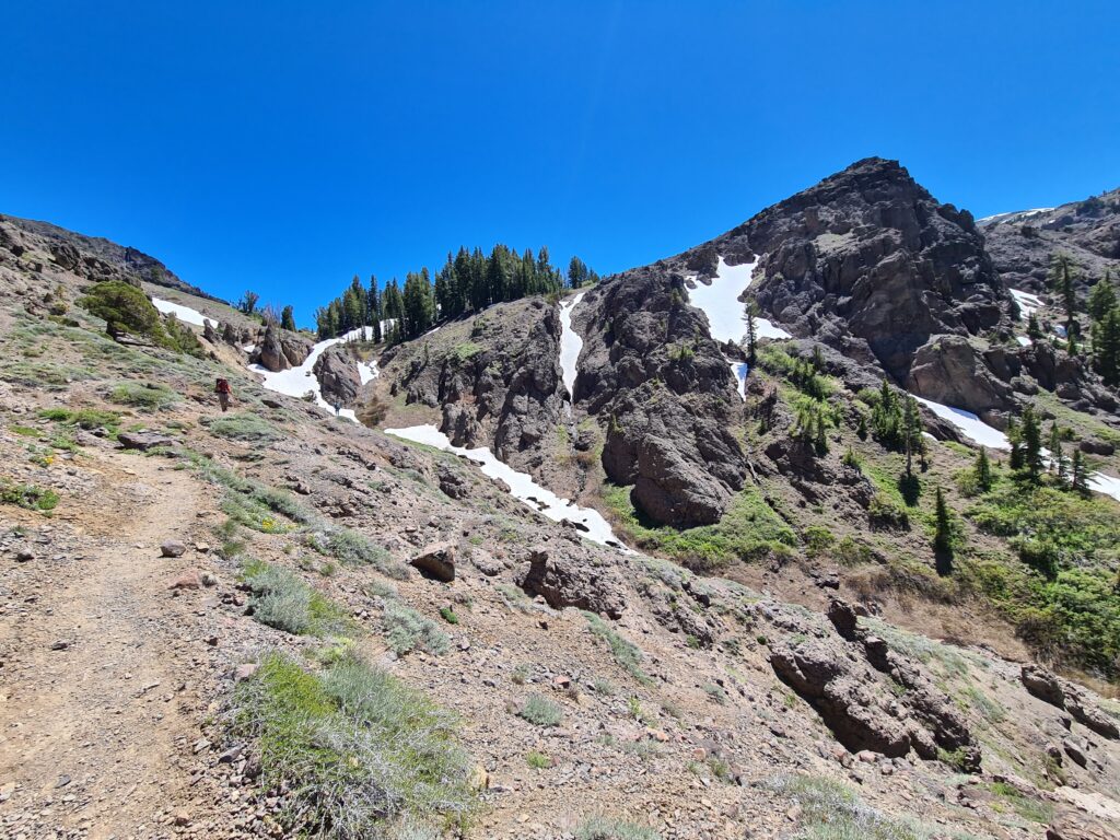 PCT Tag 65