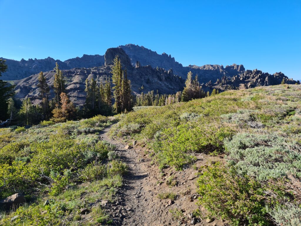 PCT Tag 65