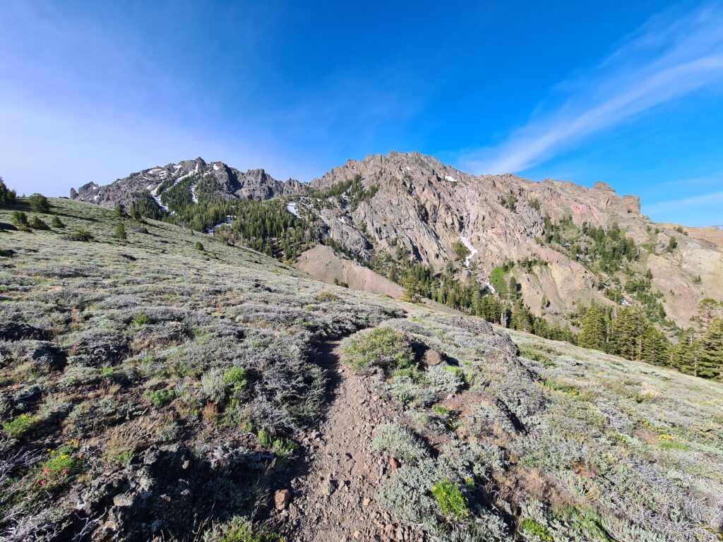 PCT Tag 66