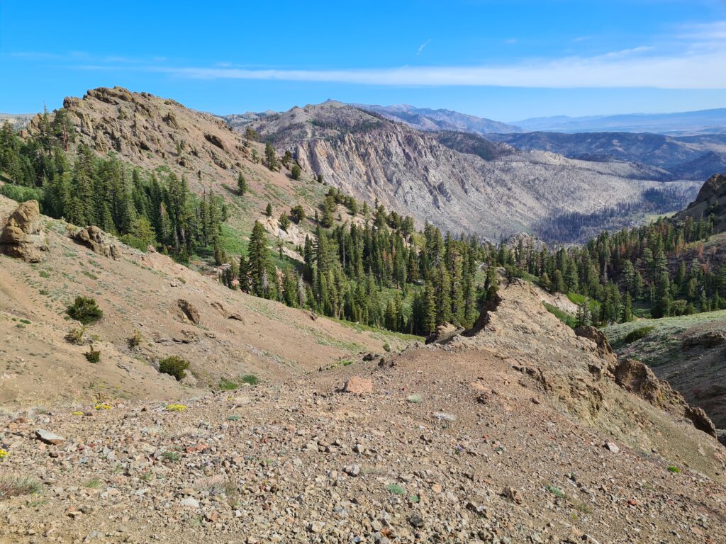 PCT Tag 66