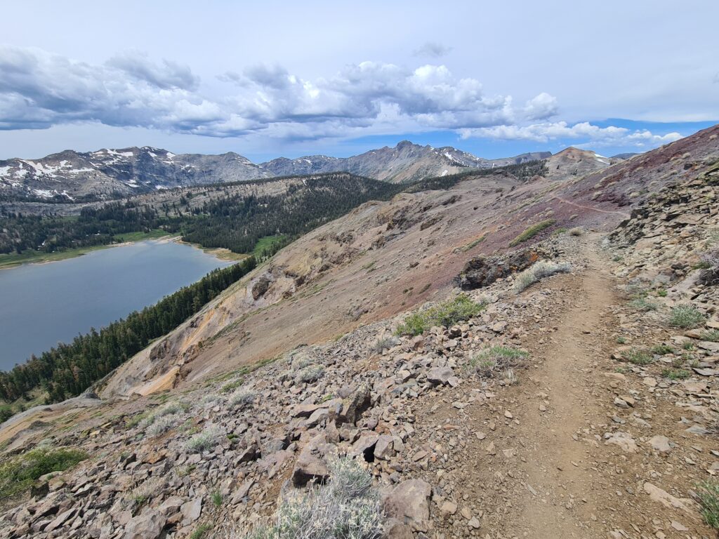 PCT Tag 66