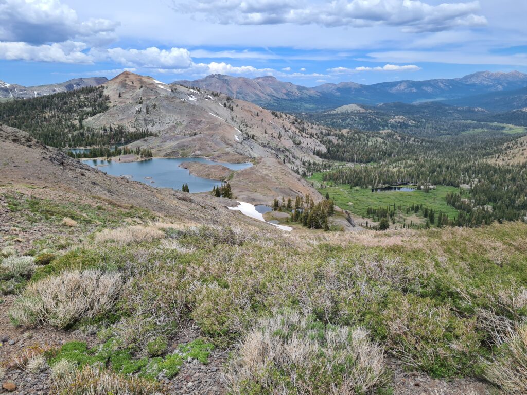 PCT Tag 66