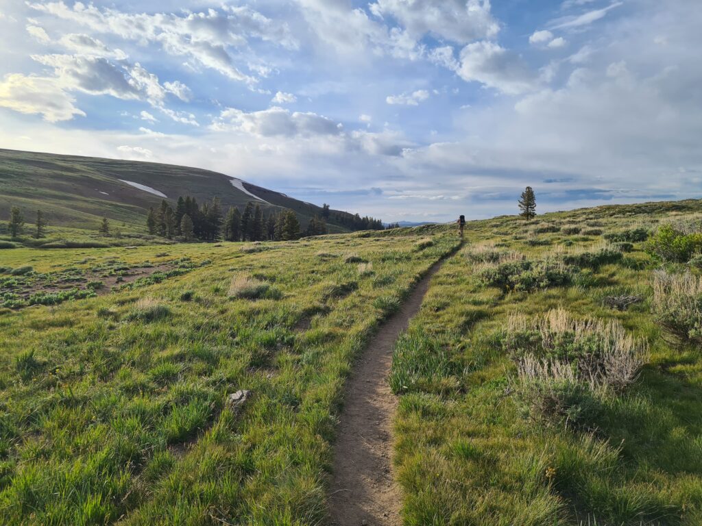 PCT Tag 66