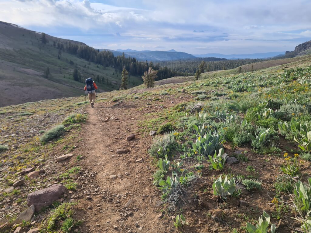 PCT Tag 66