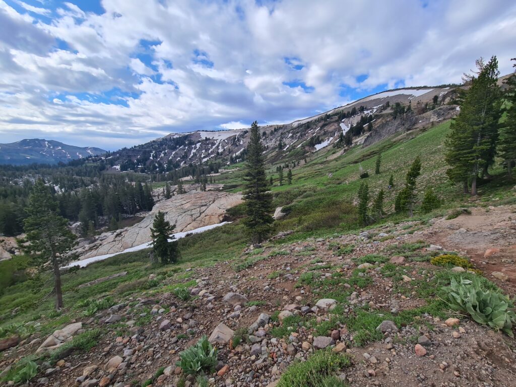 Auf dem Weg nach Lake Tahoe