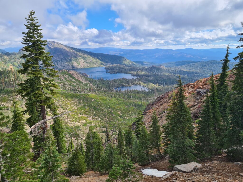 PCT Tag 75