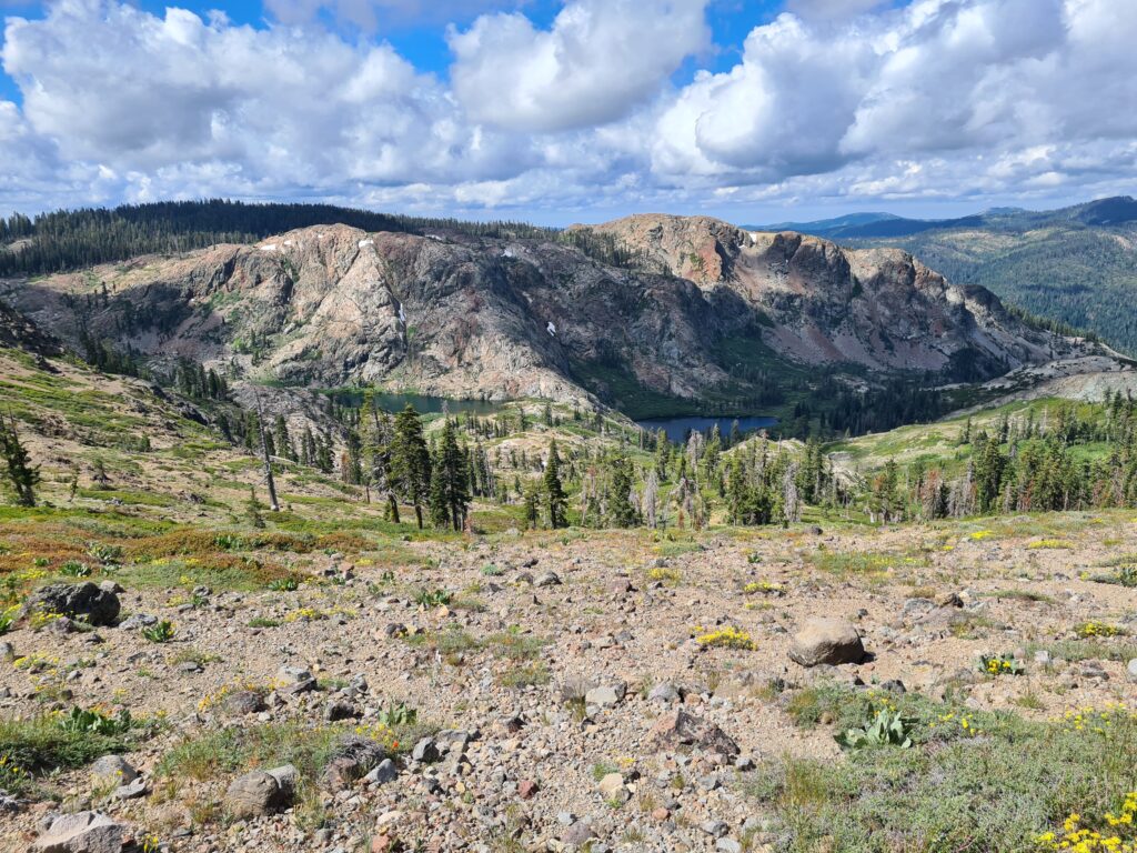 PCT Tag 75