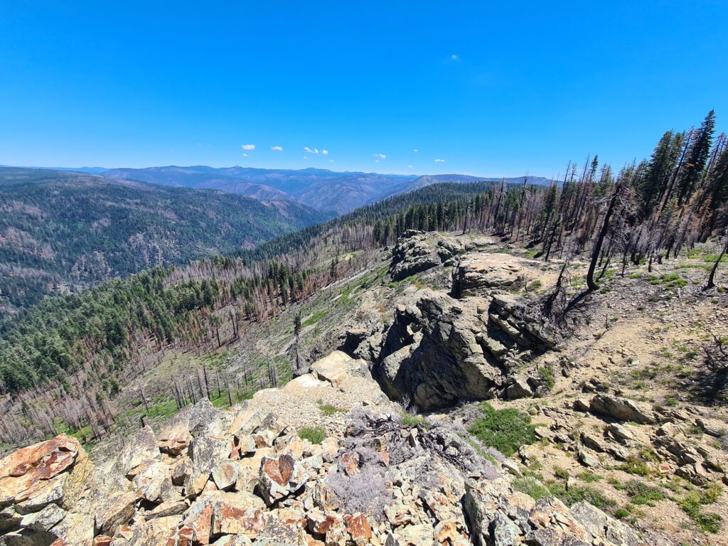 PCT Tag 77