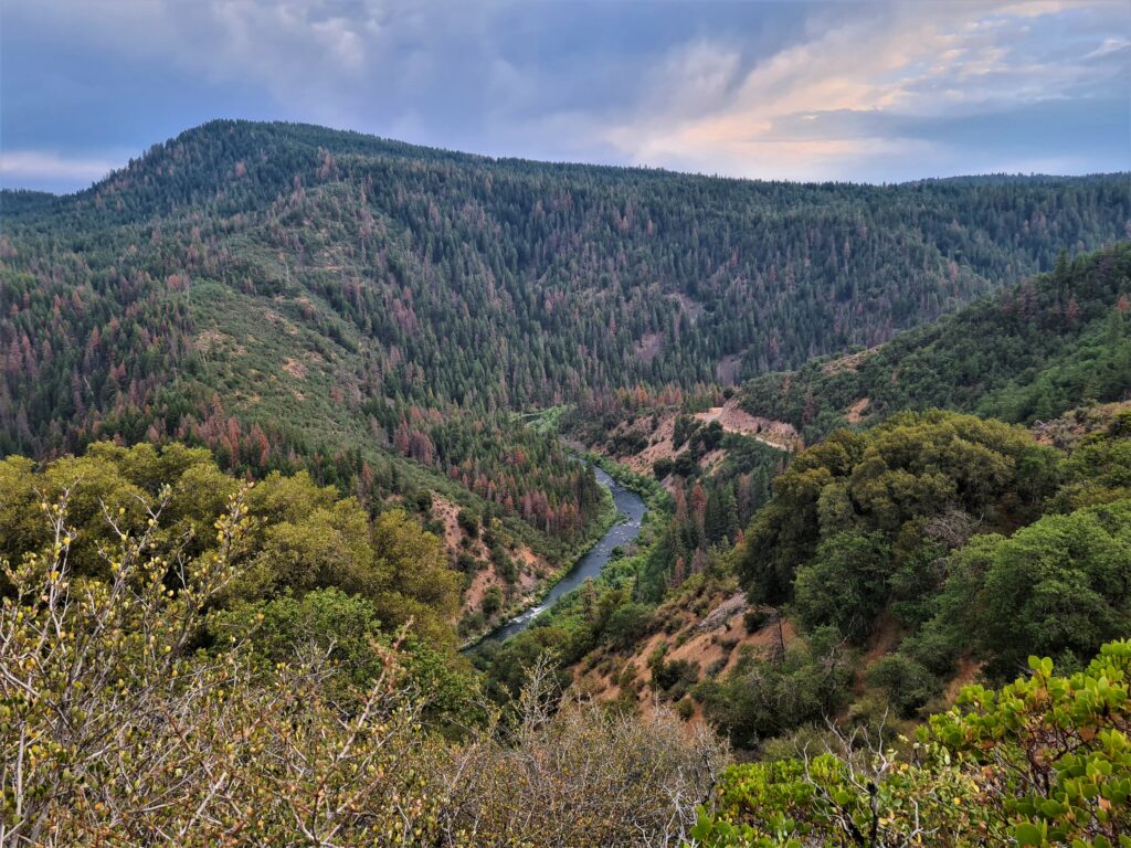 PCT Tag 79