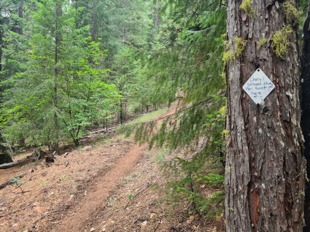 PCT Tag 80