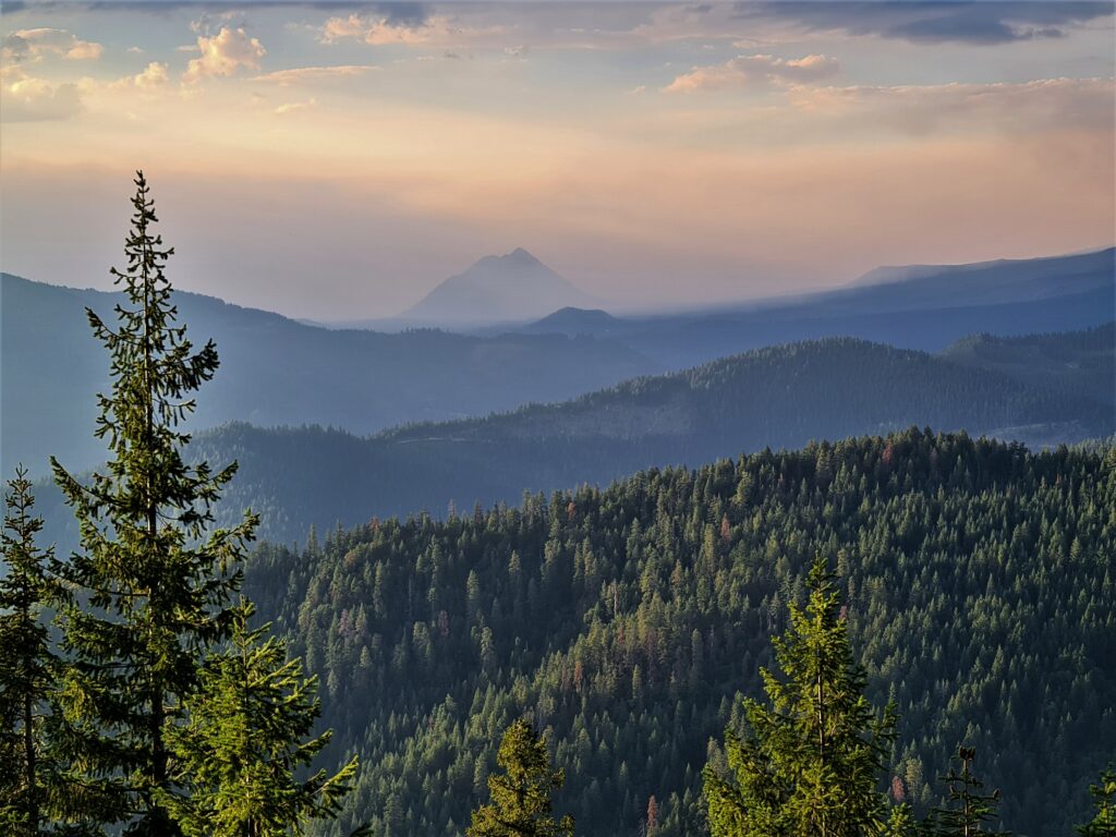Mount Shasta