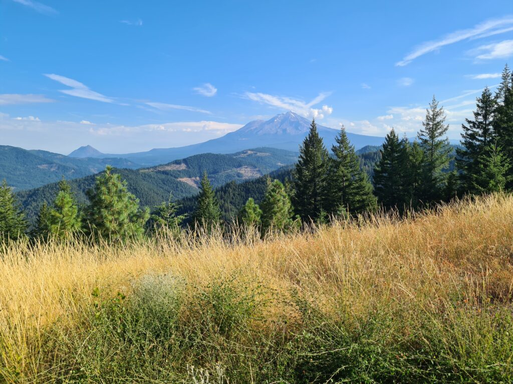 Mount Shasta