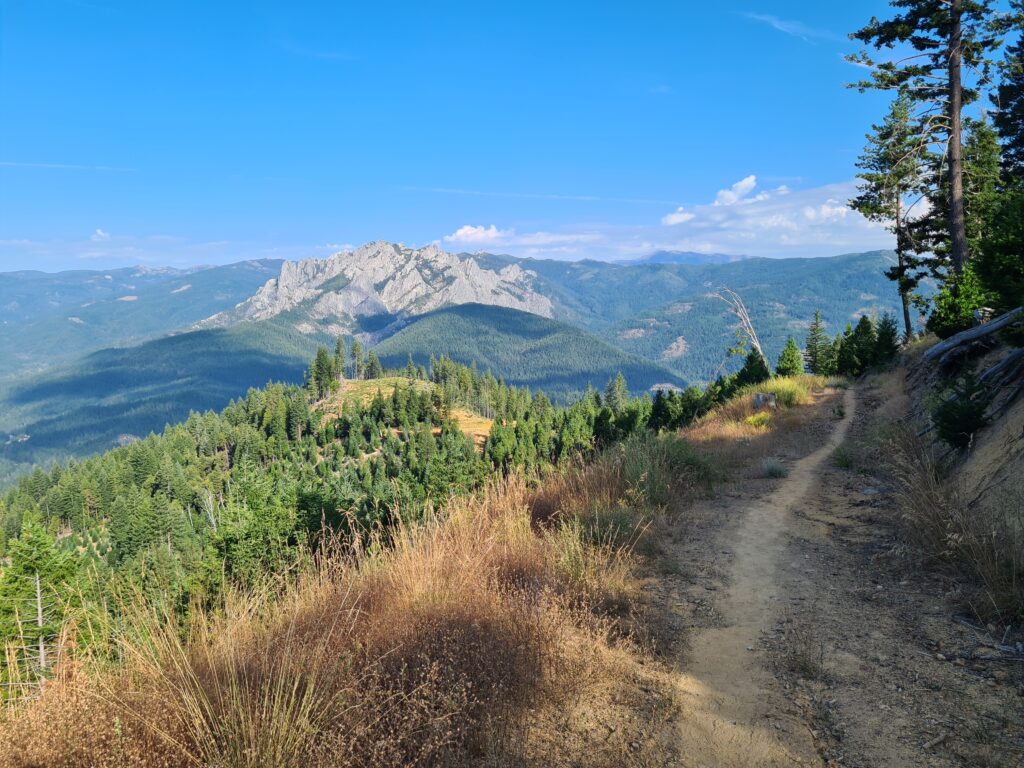 PCT Tag 84
