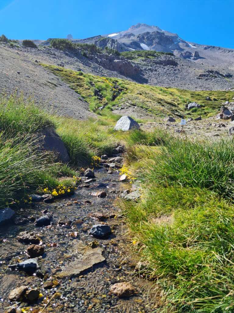 Clear Creek ist die einzige Wasserquelle auf dem Aufstieg