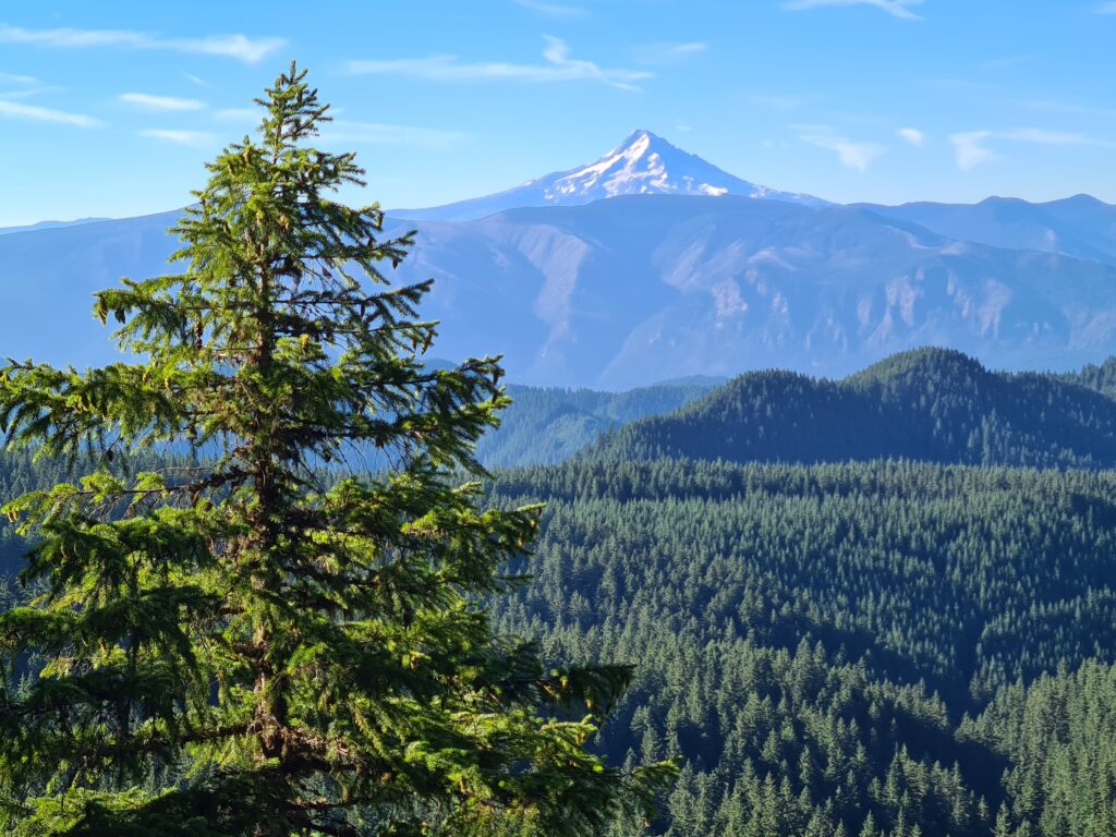 Mount Hood