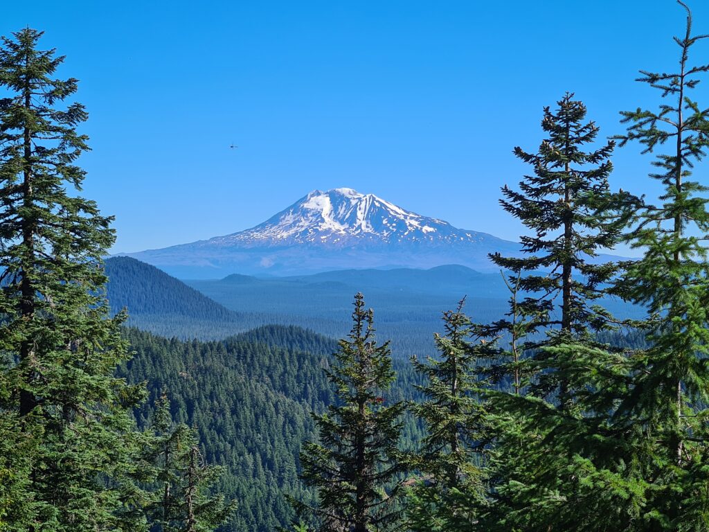 Mount Adams