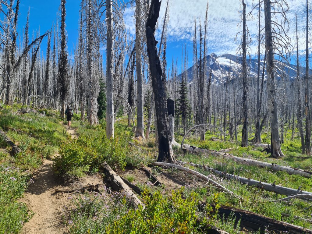 Mount Adams