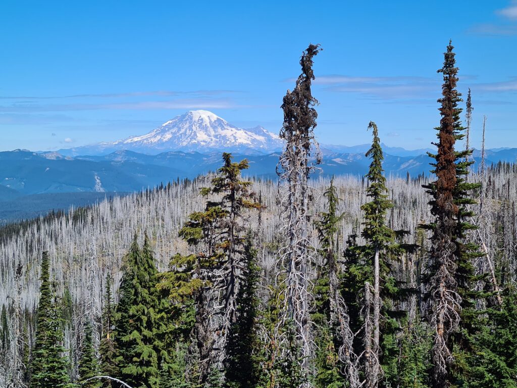 Mount Hood