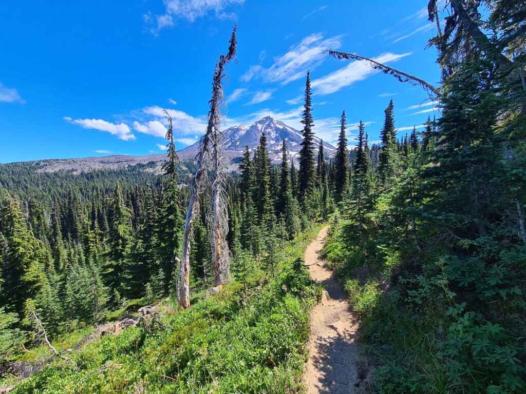 Mount Adams