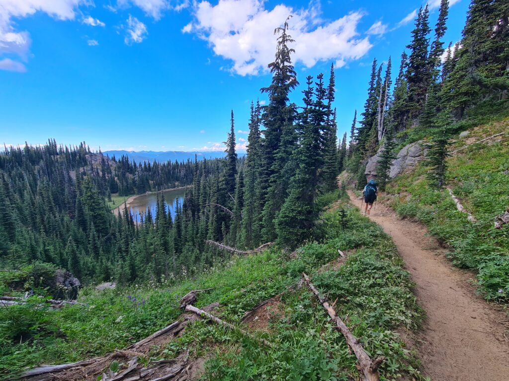 PCT Tag 91