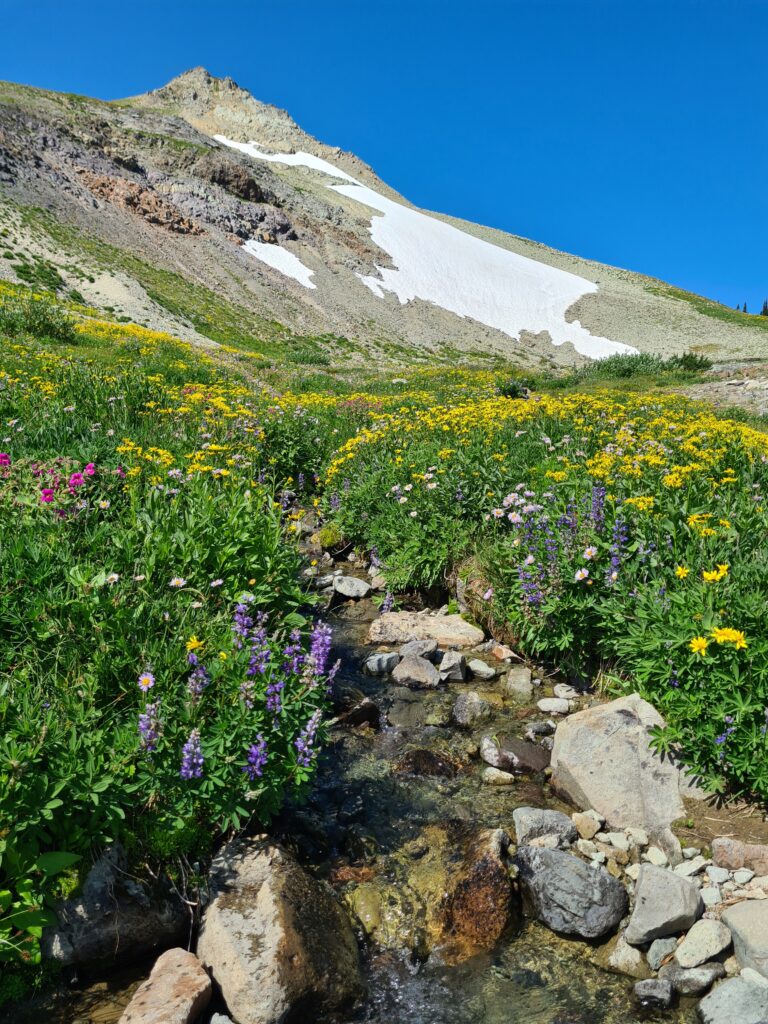 Goat Rocks Wilderness