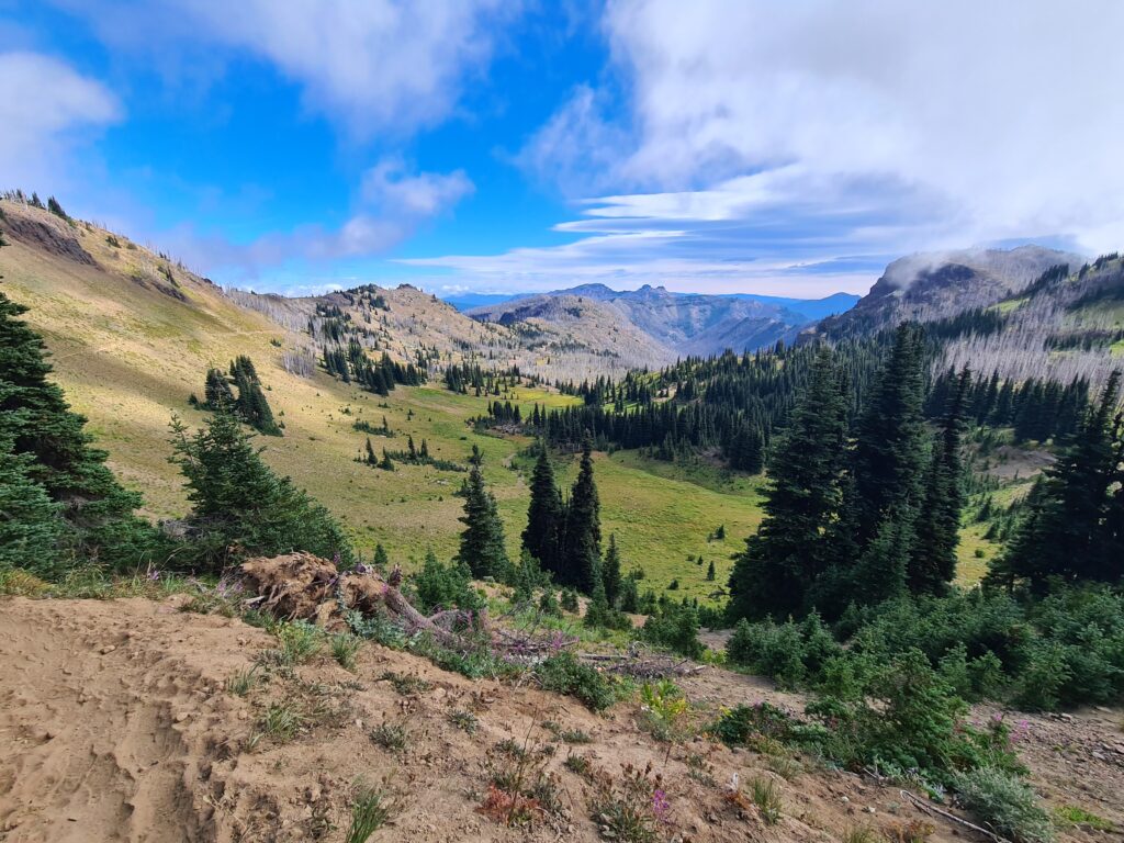 PCT Tag 69