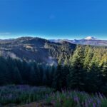 Morgendlicher Ausblick auf Mount Rainier
