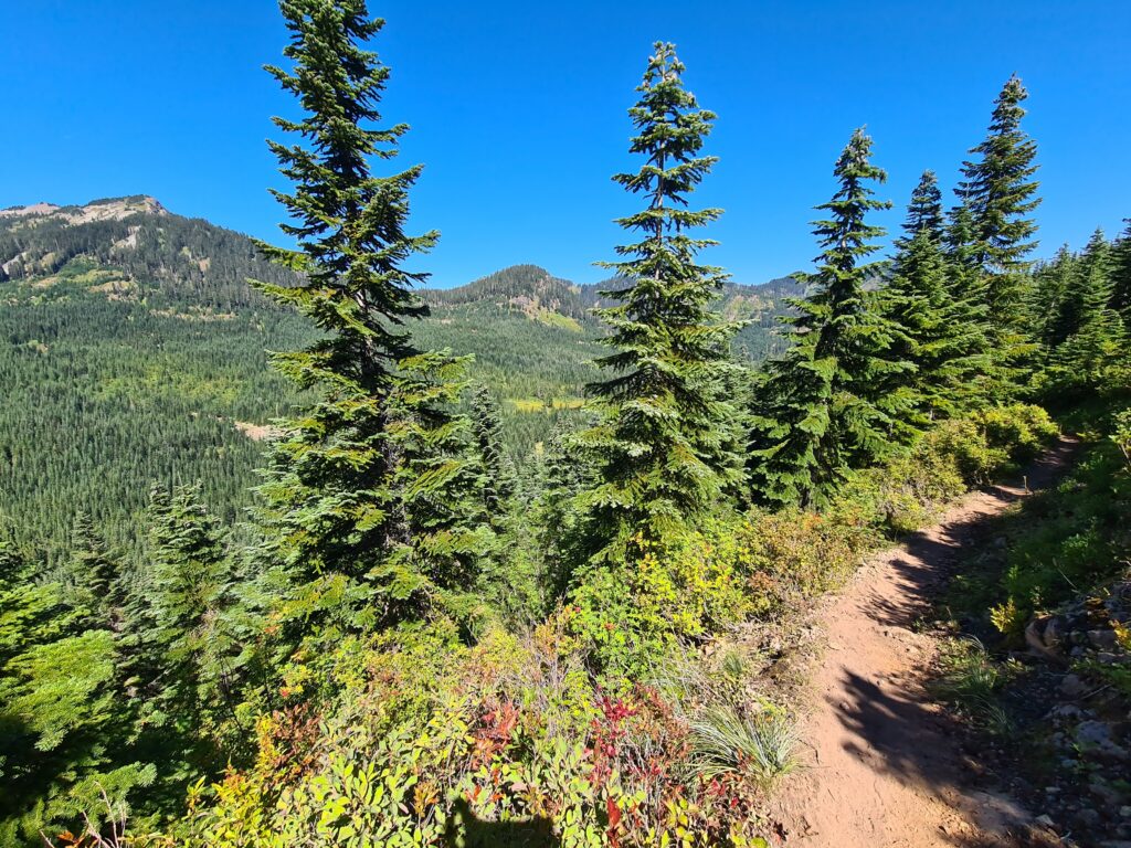 PCT Tag 96