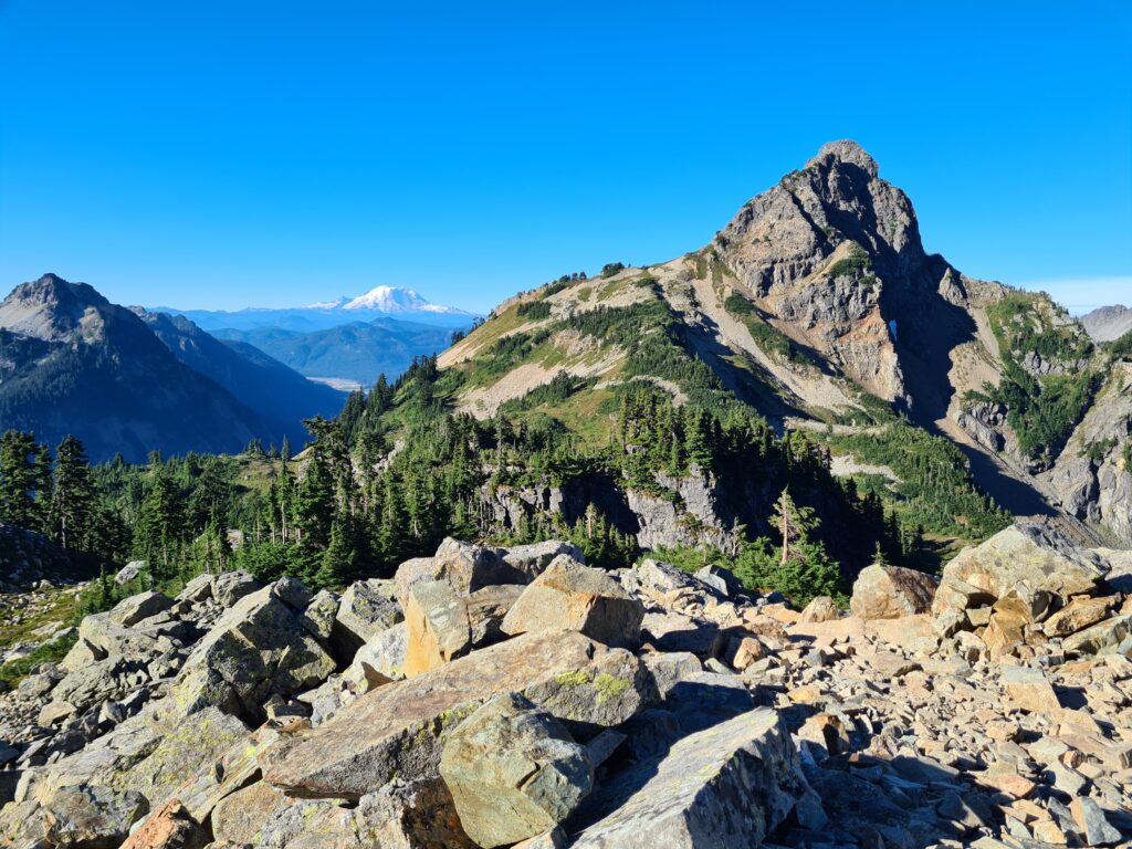 Ausblick auf Mount Rainier